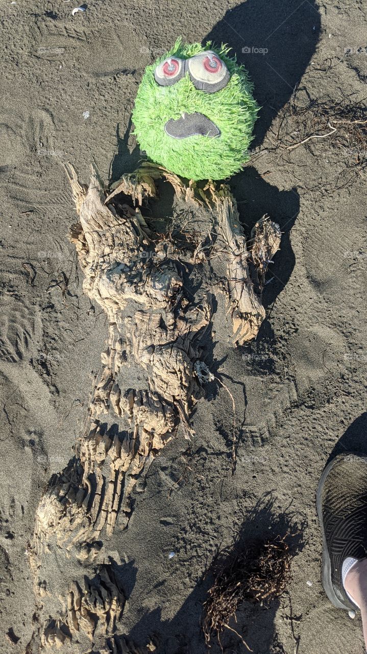 beachcombing beach funny obscure driftwood green