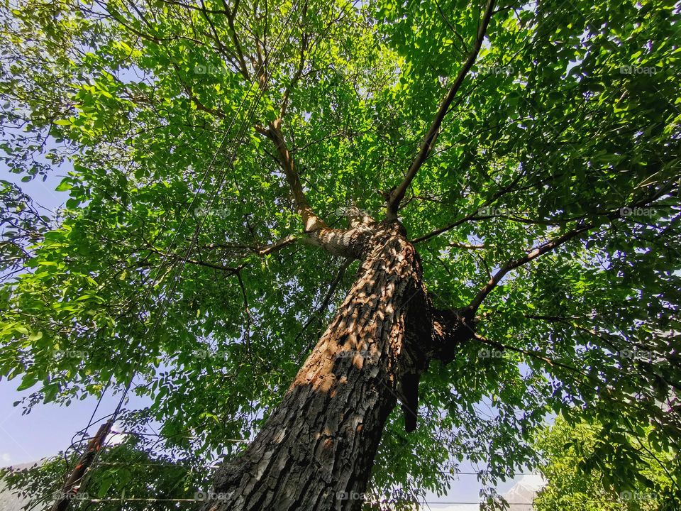 Beat the heat ; nature's refuge to hotness