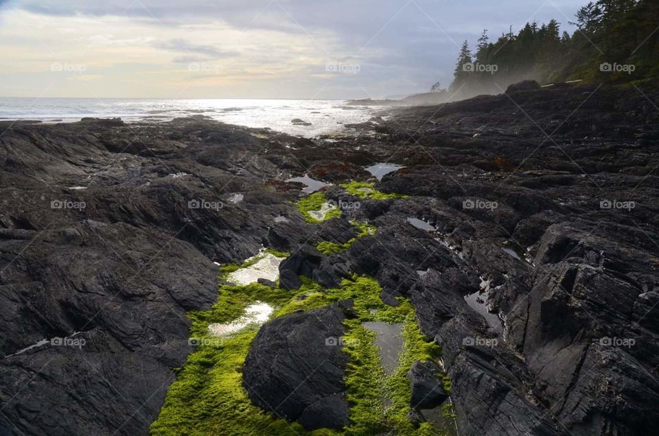 seascape Vancouver island