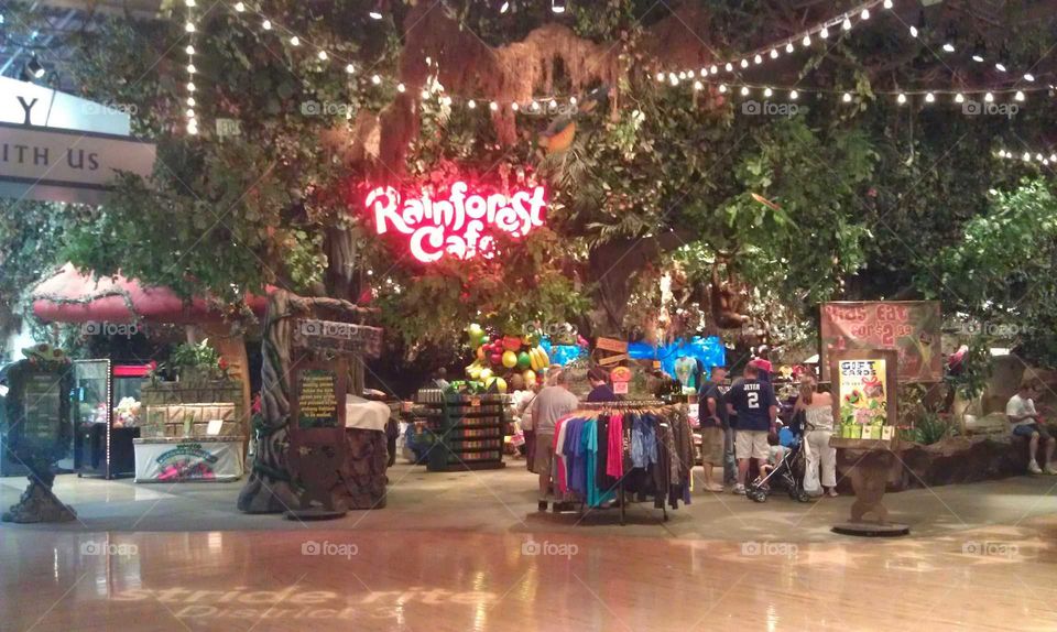 Rainforest Cafe Great Lakes Crossing