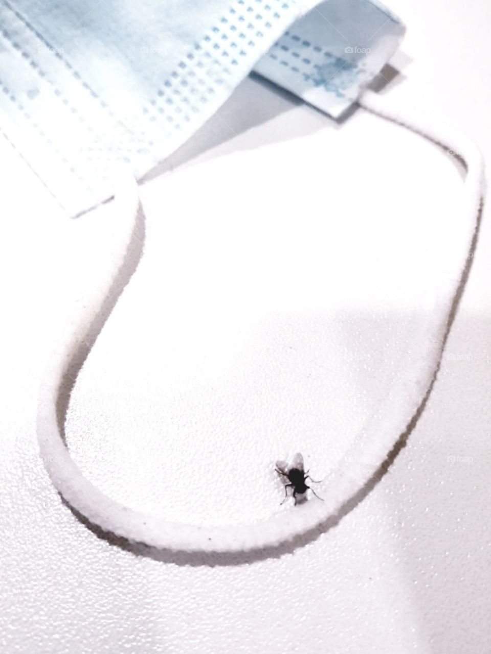 insect repellent , something different