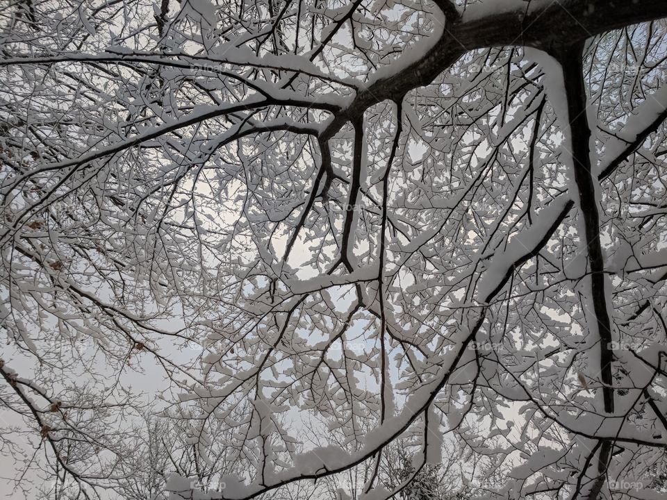 things are looking up