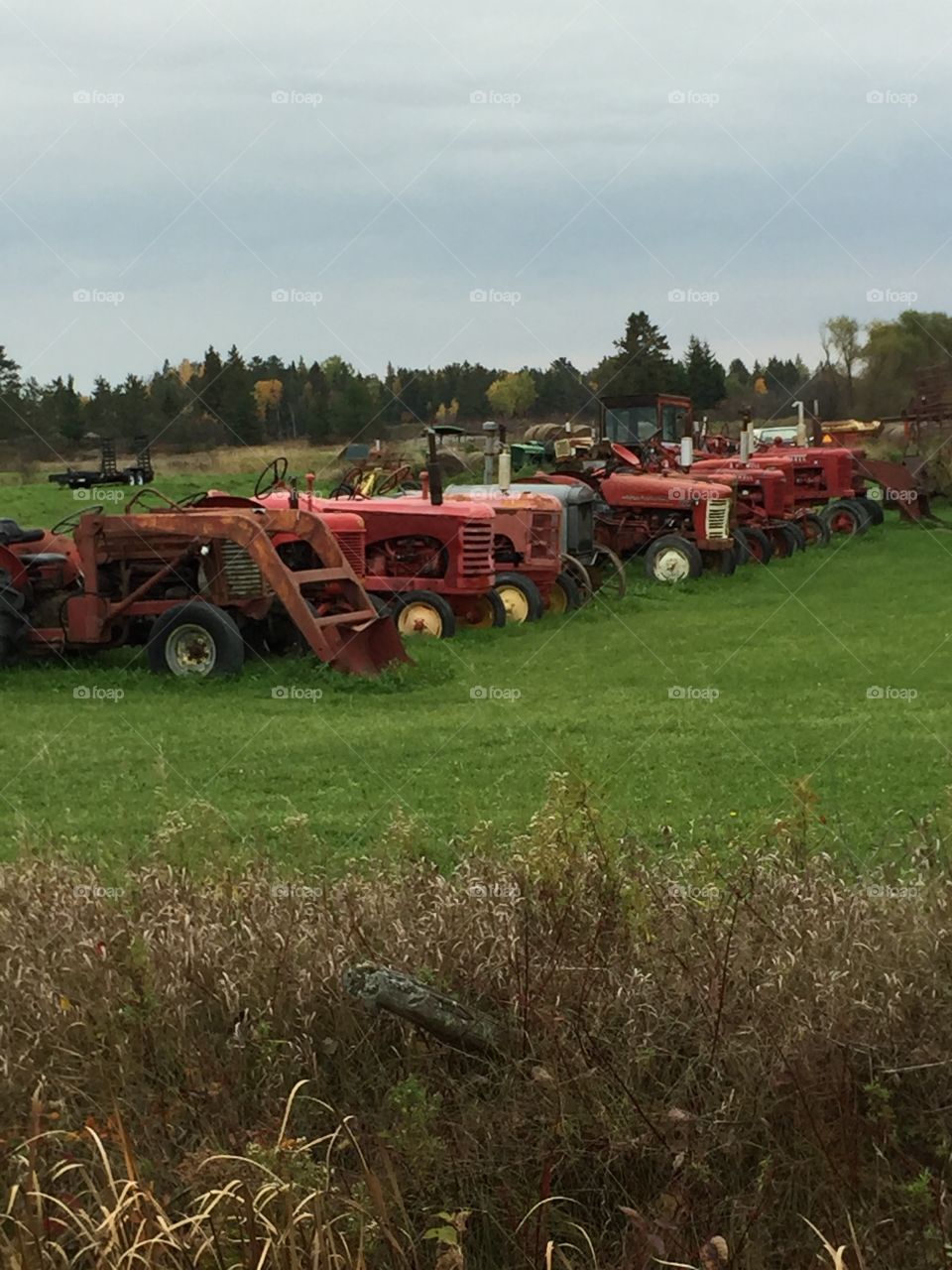 Big row Antique tractors