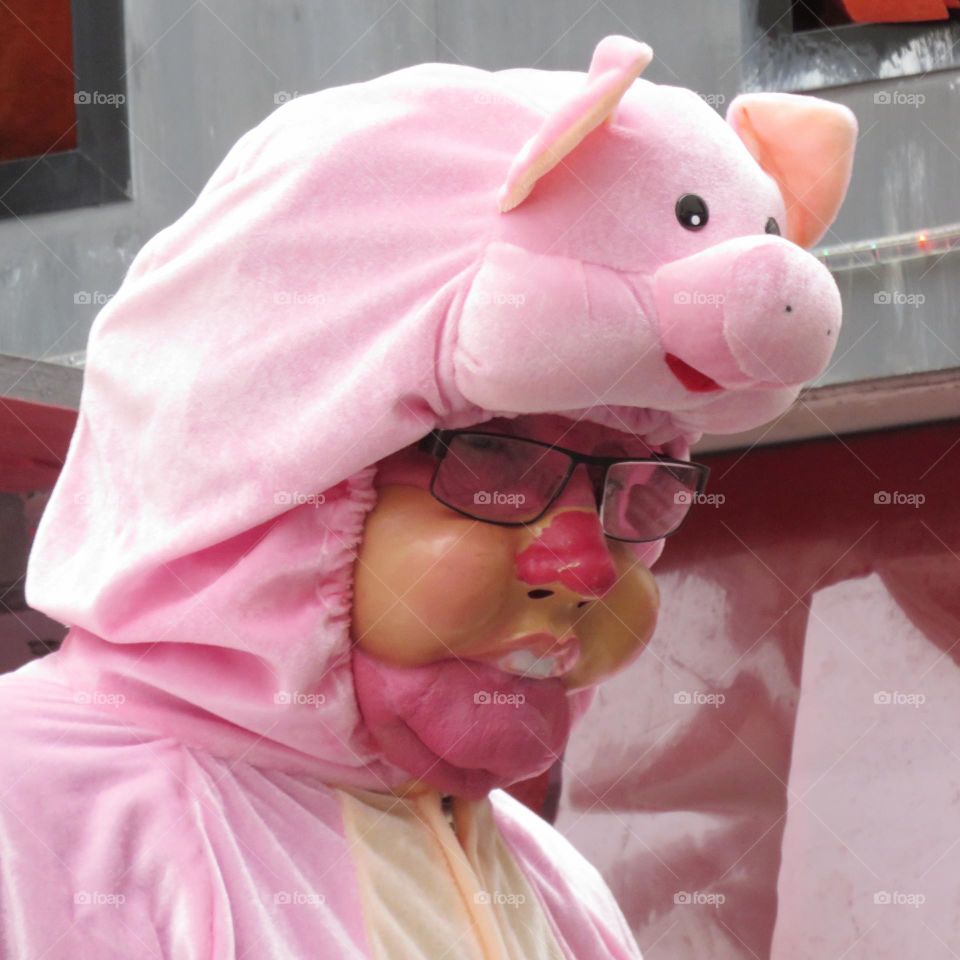 A pig during the Granville's Carnival