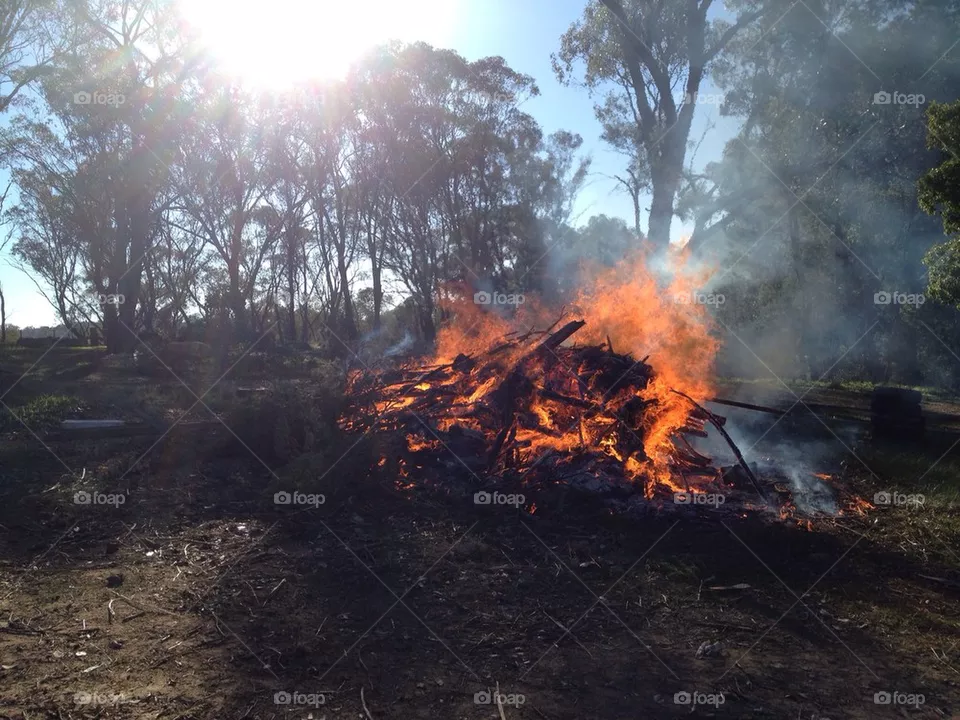 Bonfire