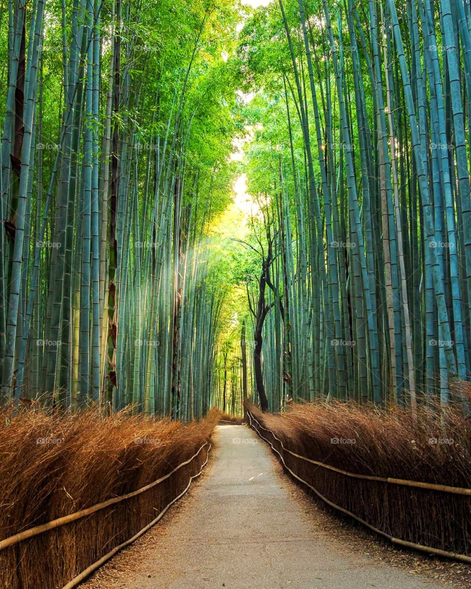 Had to arrive here early in the morning to get this shot tourist free!