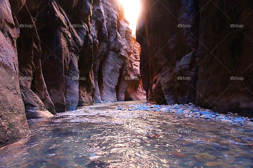 Canyon . Hiking the narrows in Zion National Park