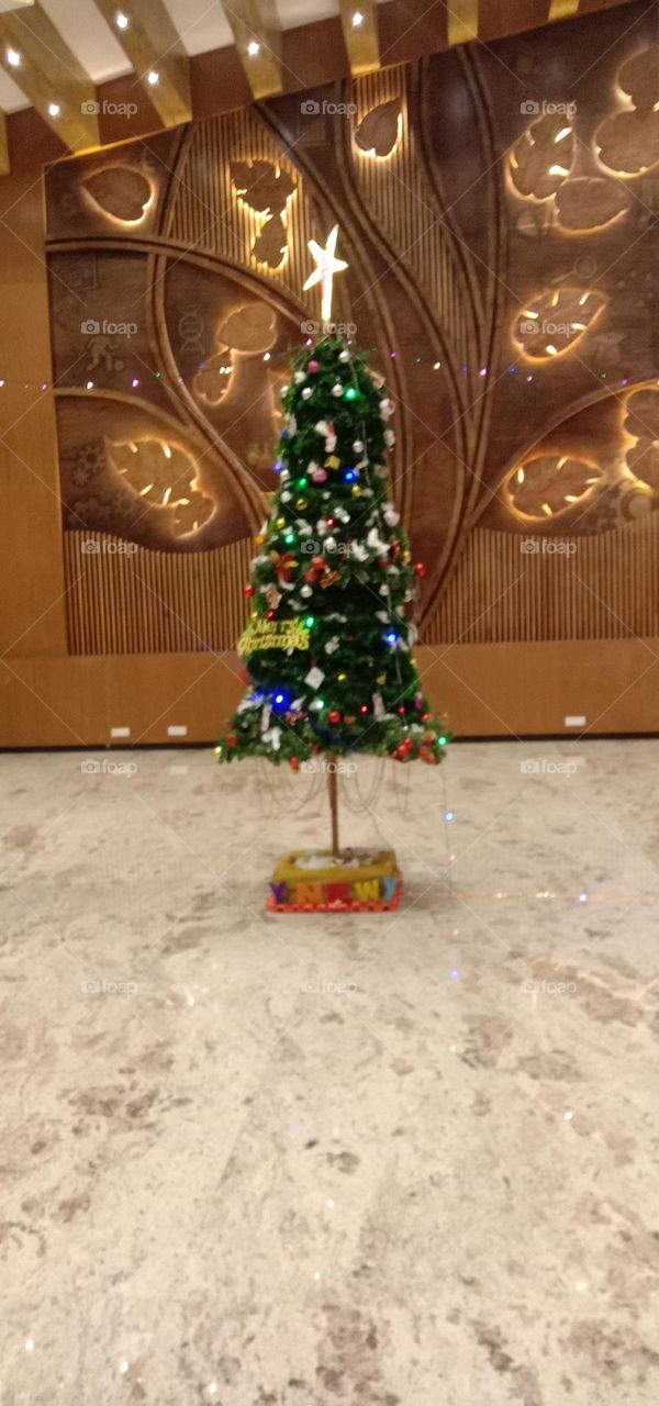 the Christmas times ❤️✨