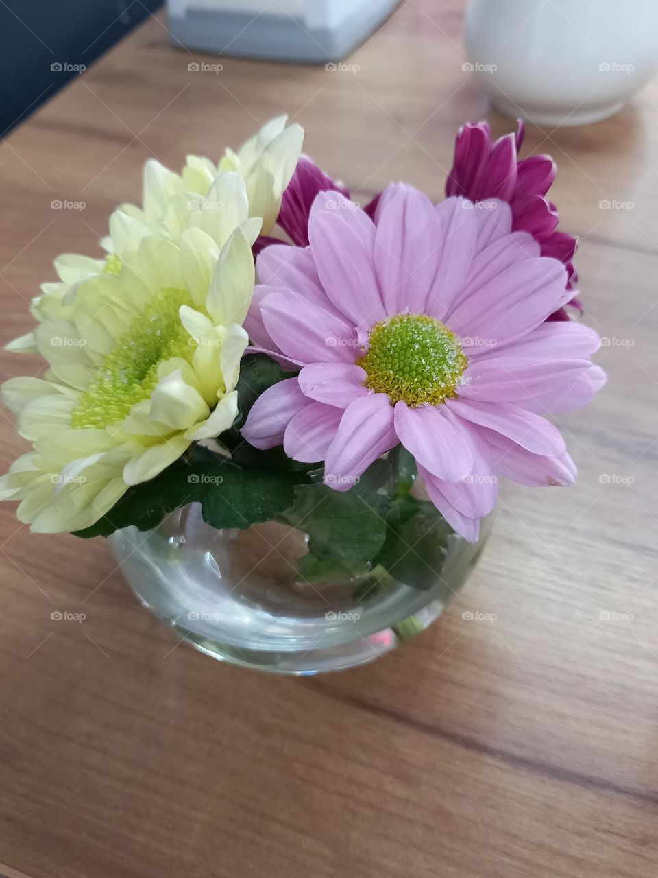 It is so cute and nice – the combination of light yellow and purple tender flowers.
