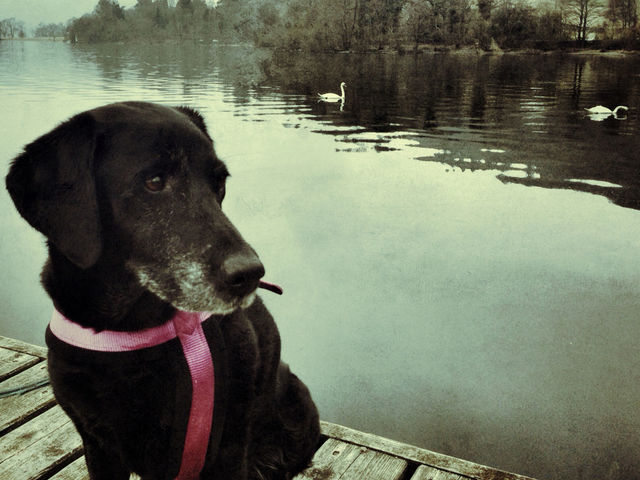 Tranquility