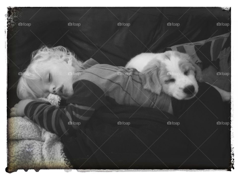 Boy and dog sleeping on bed