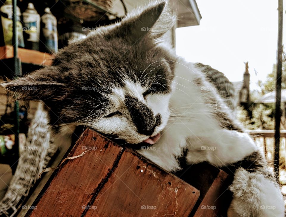 Outdoor Nap.