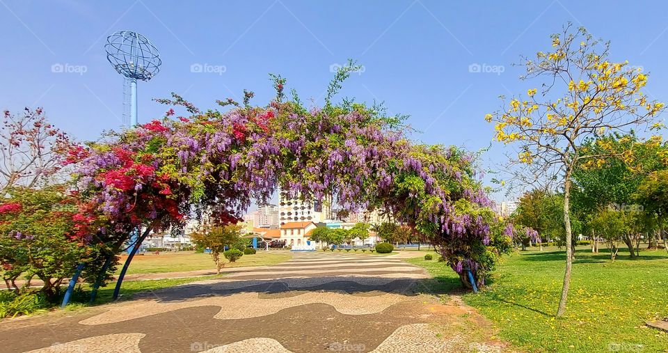 Arco florido no meio da praça que enfeita e embeleza o espaço de lazer.