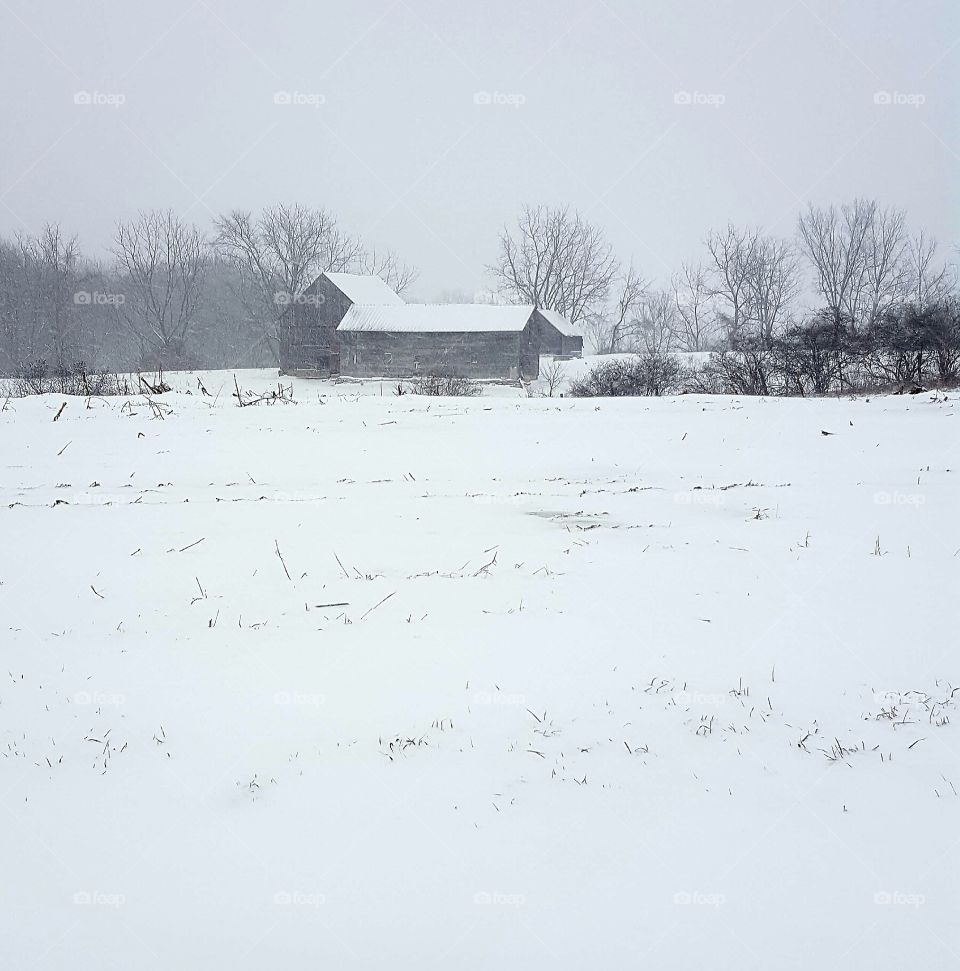 snow barn