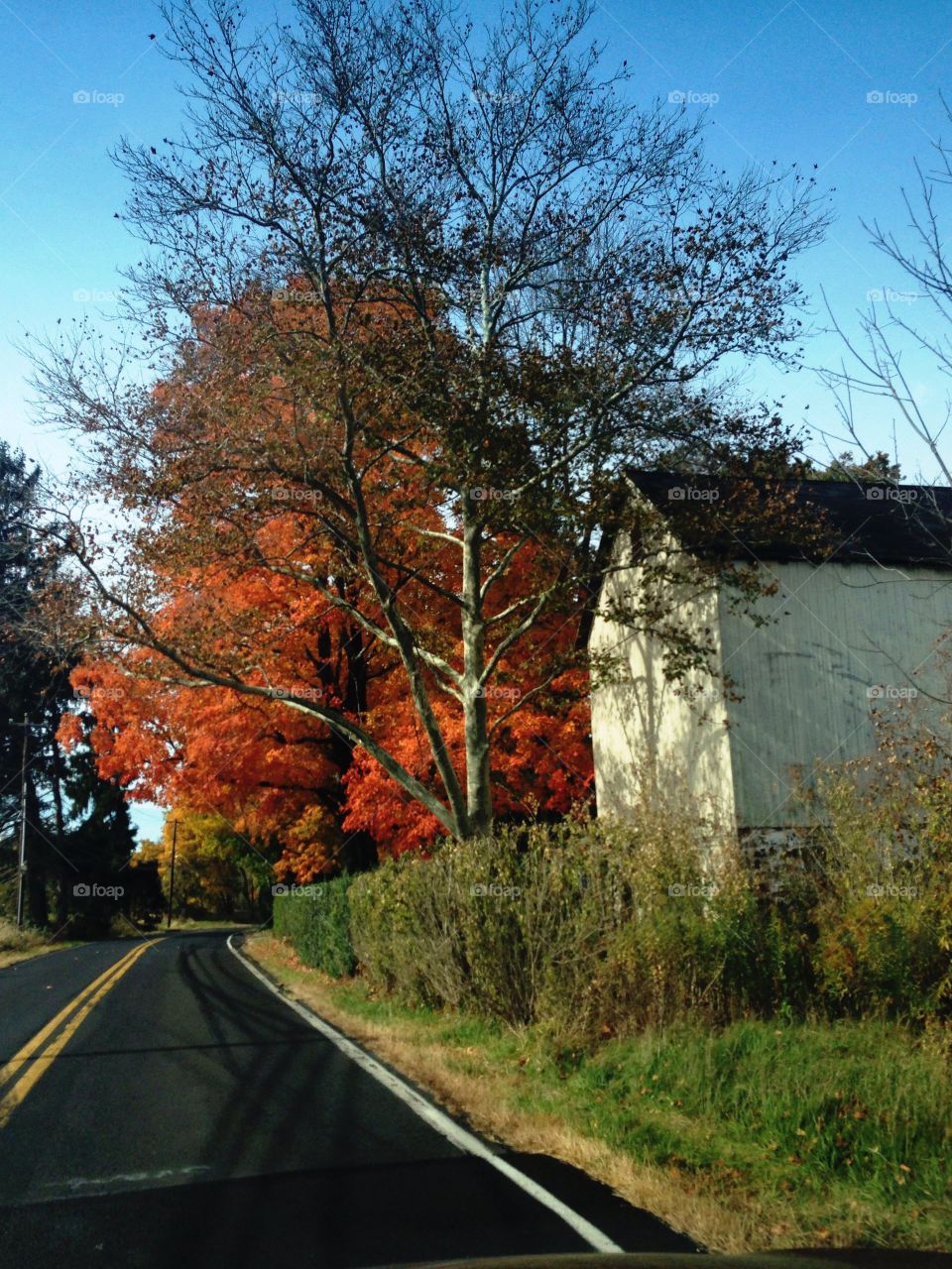 Fall road. Fall landscape on the way home