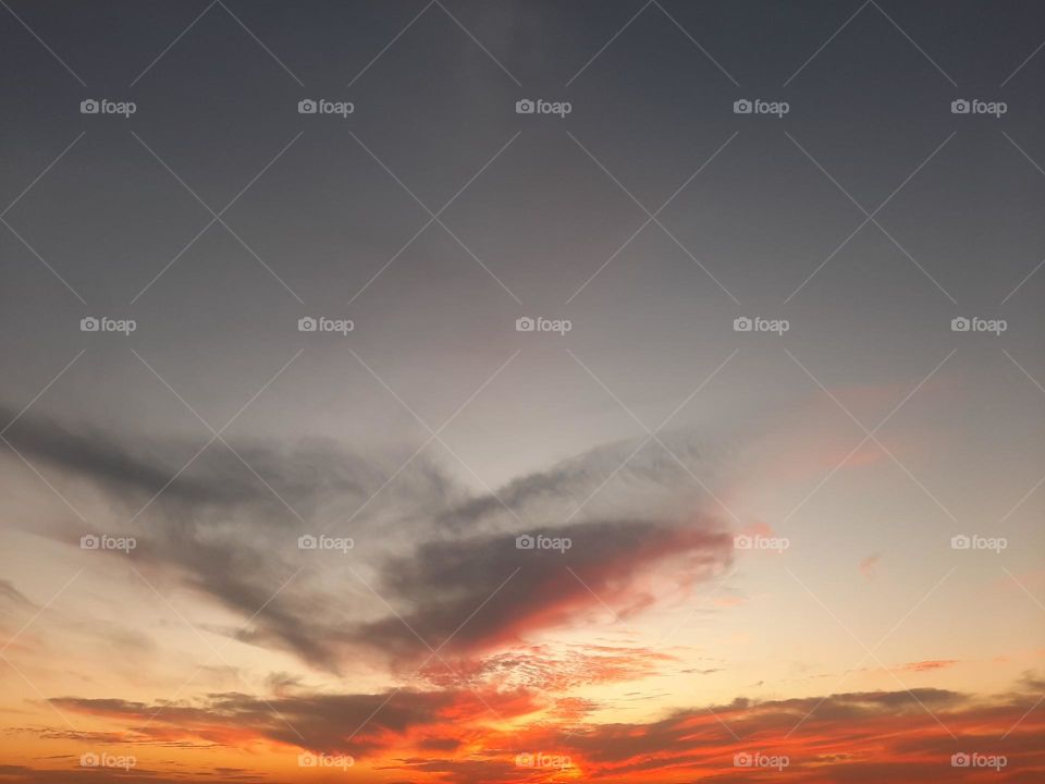 Please, I want you to support me, I need your help, I am poor, I need dollars, please