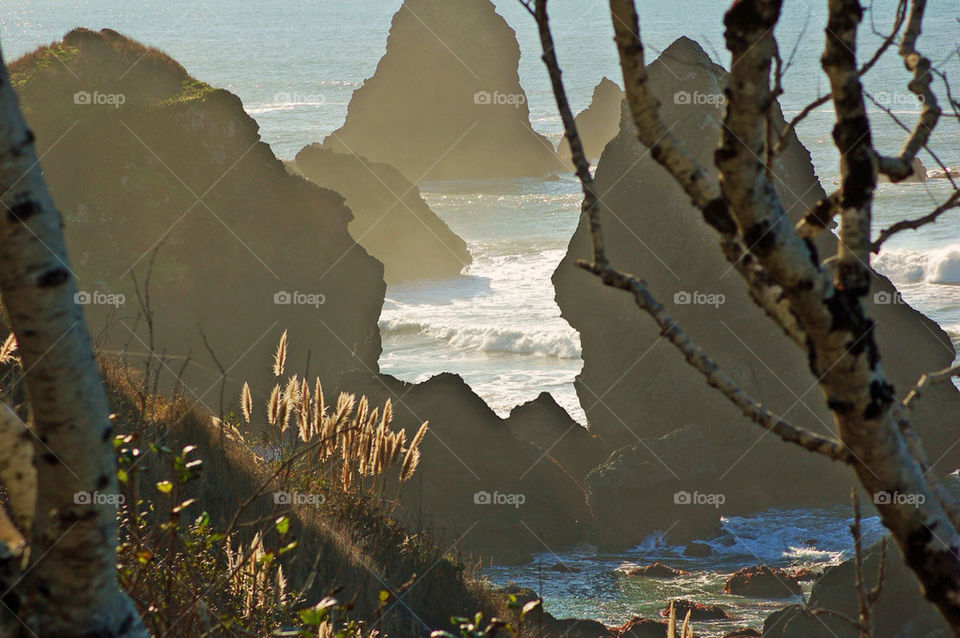 Rock formation at sea