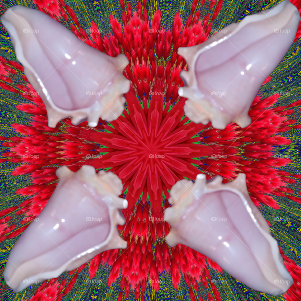kaleidoscope design with Sea shell and Red flowers