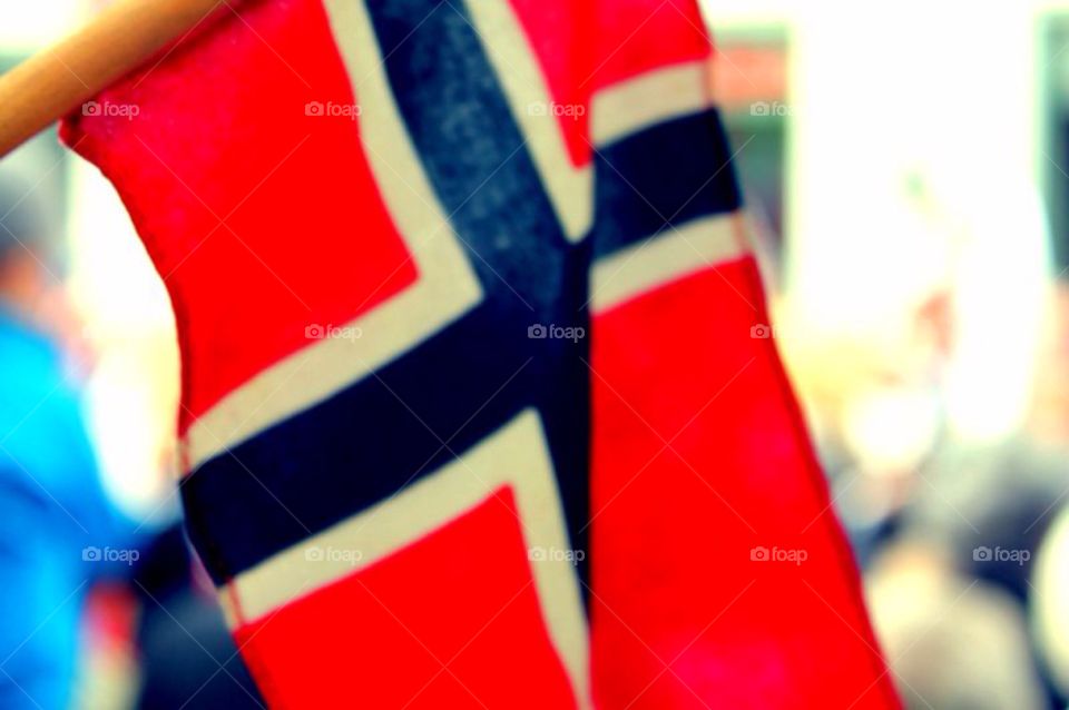 The Norwegian Flag