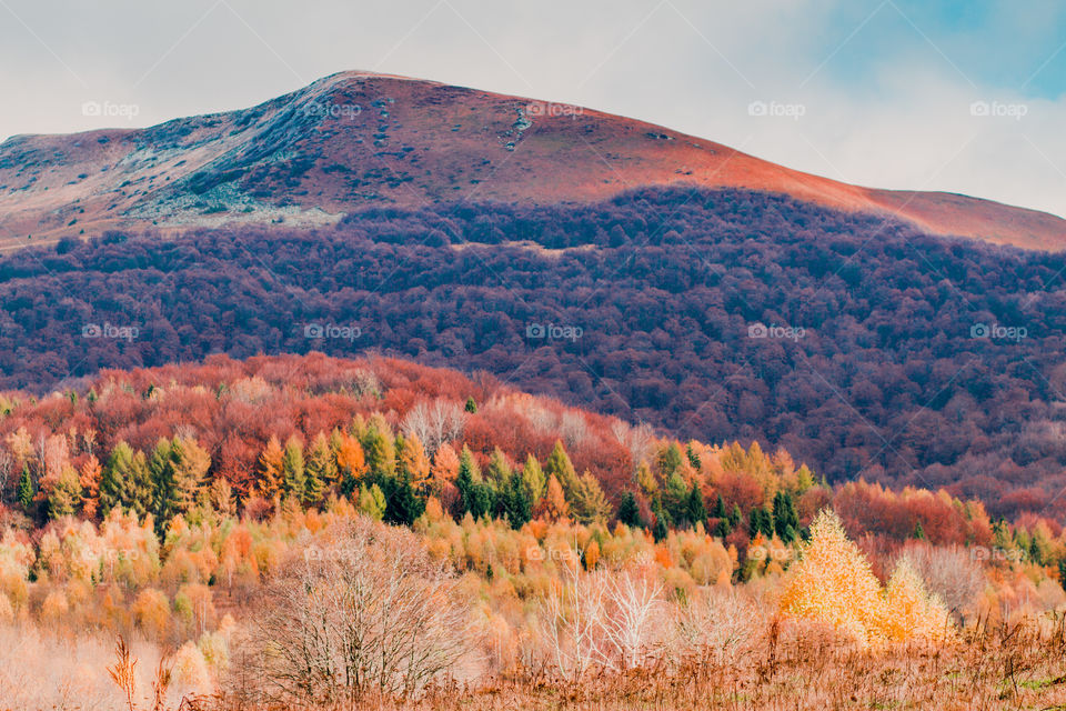Autumn in The Bieszczady Mountains in Poland. Hillsides coloured with yellow, red, brown. Fall scenery, mountain landscape view from distance