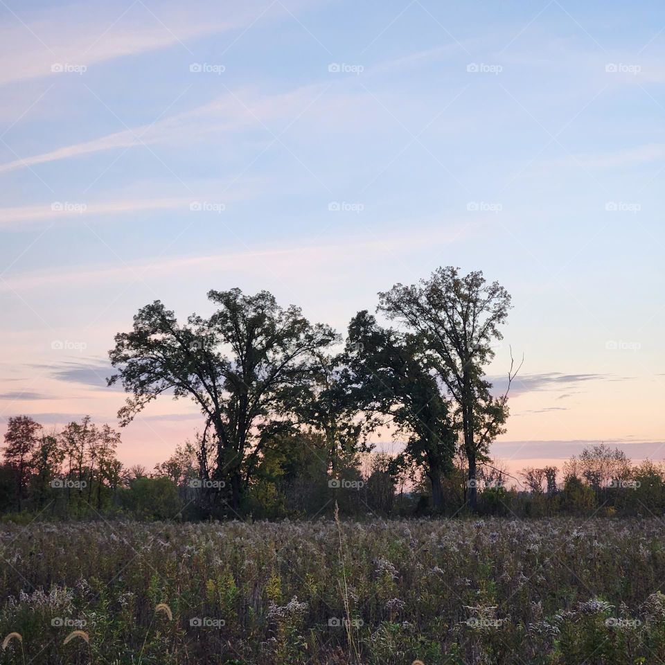 sunset oaks