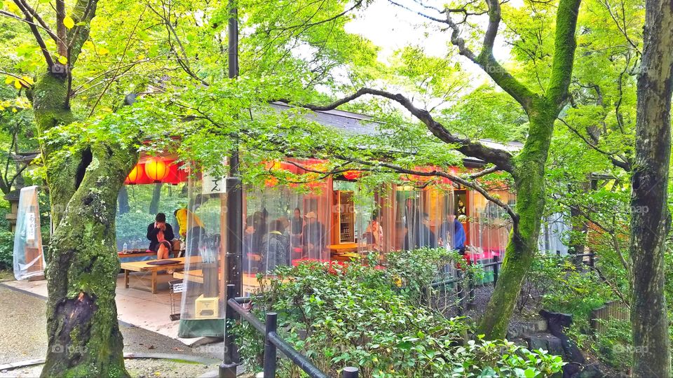 Red lanterns tea house in the forest