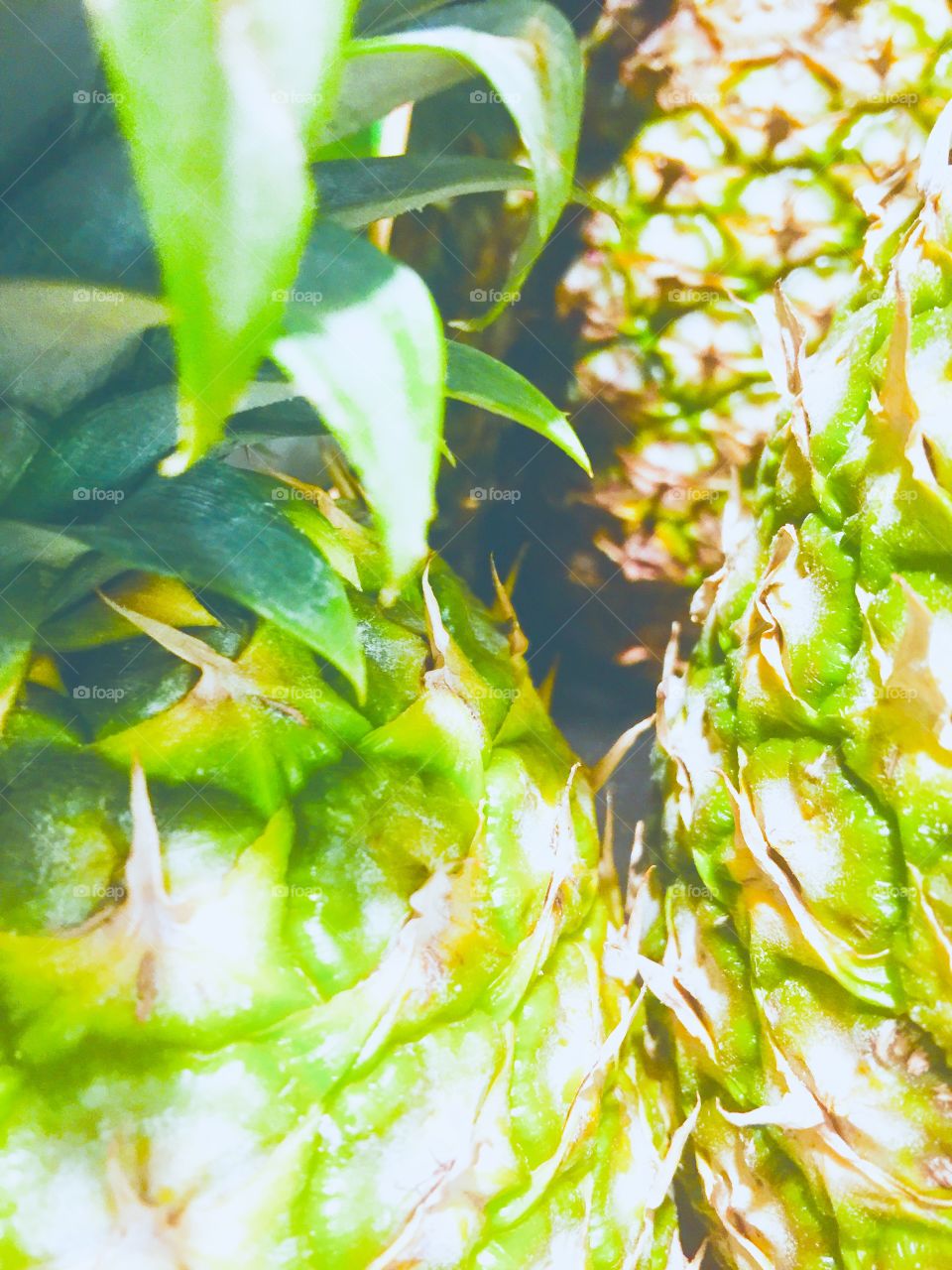 Grocery store pineapples, how authentic.