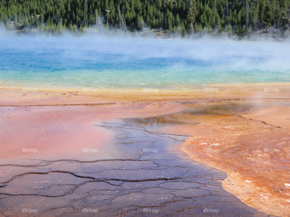 Grand Prismatic Spring. In Yellowstone national park