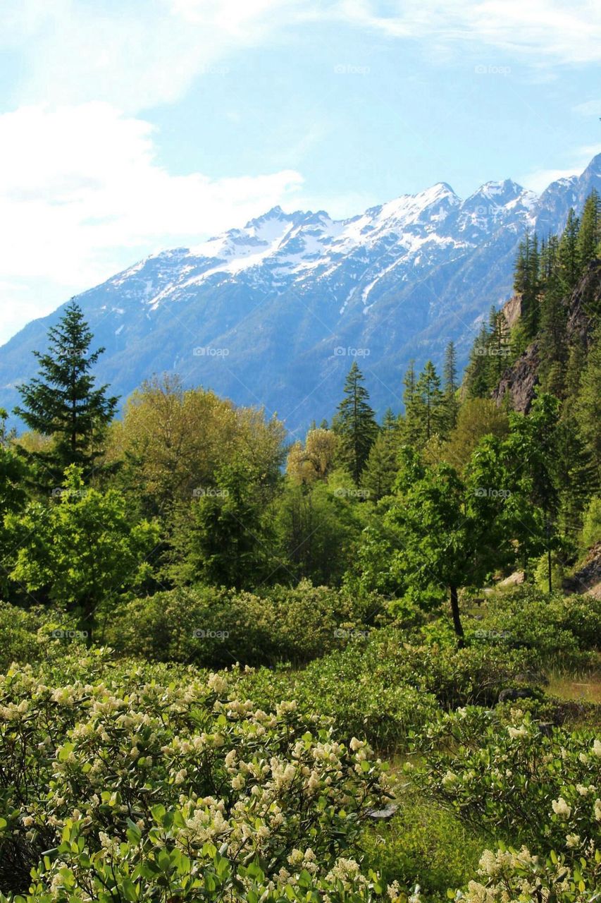 stehekin098