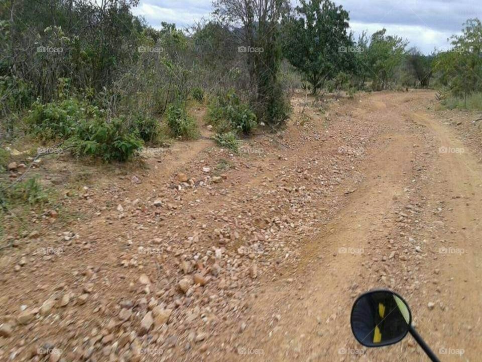 TURISMO/CAATINGA