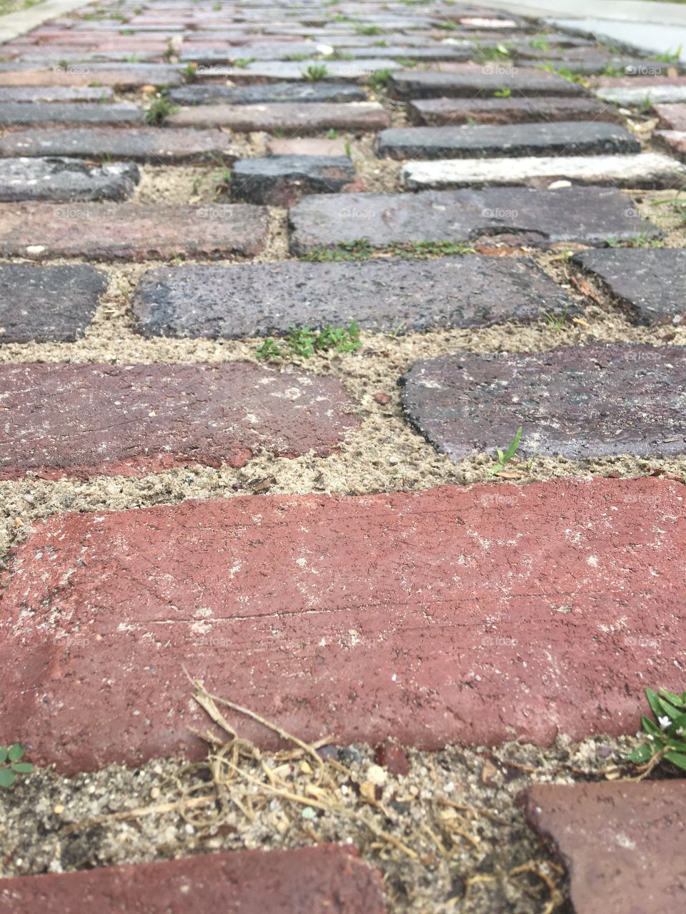Brick pathway from the ground 