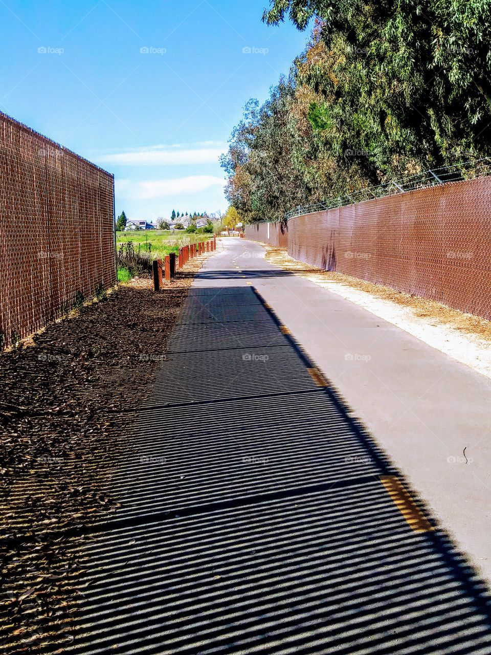 paved path with shadow of fencing covering half the path