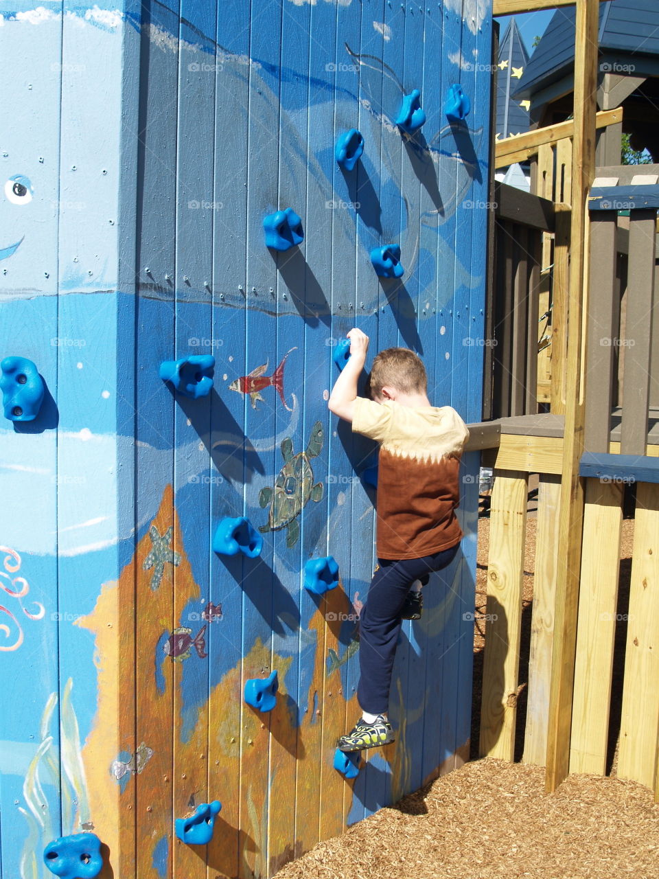 Wall Climber