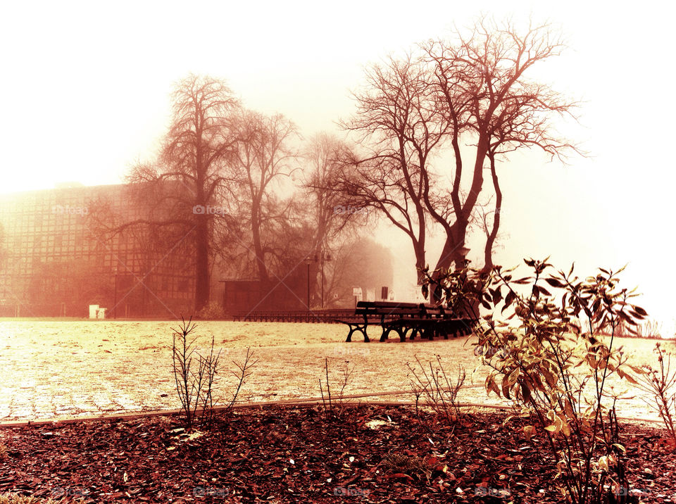 trees autumn fog bench by xhdpit