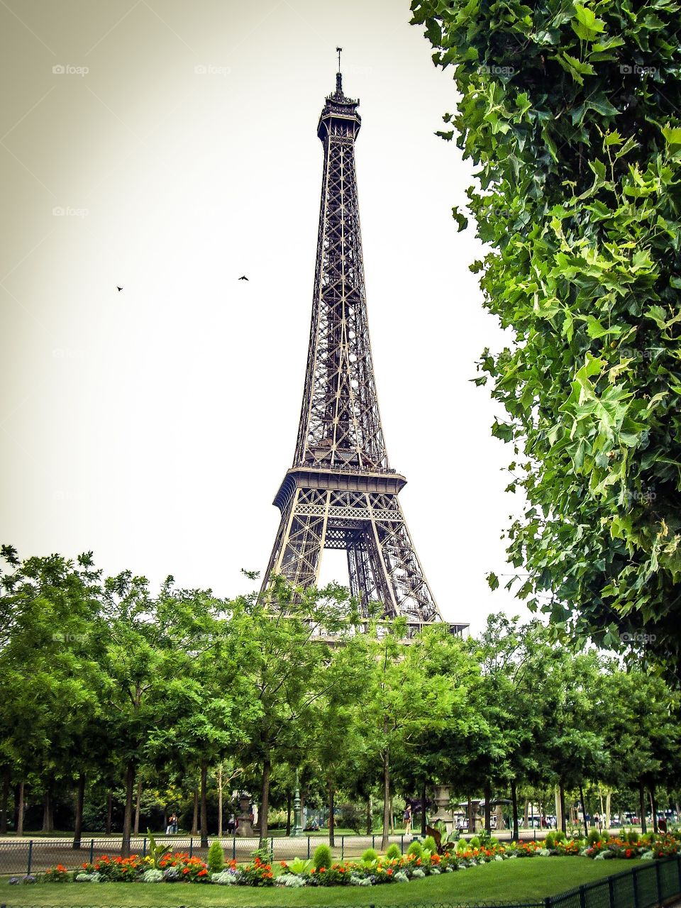 La Torre Eiffel desde los Campos de Marte (Paris - France)